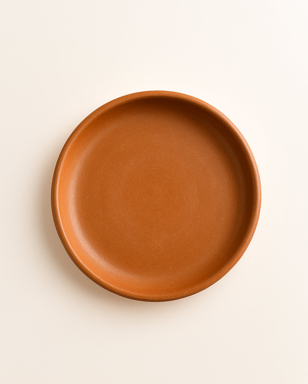 Dine with Nature | Traditional Terracotta Plate