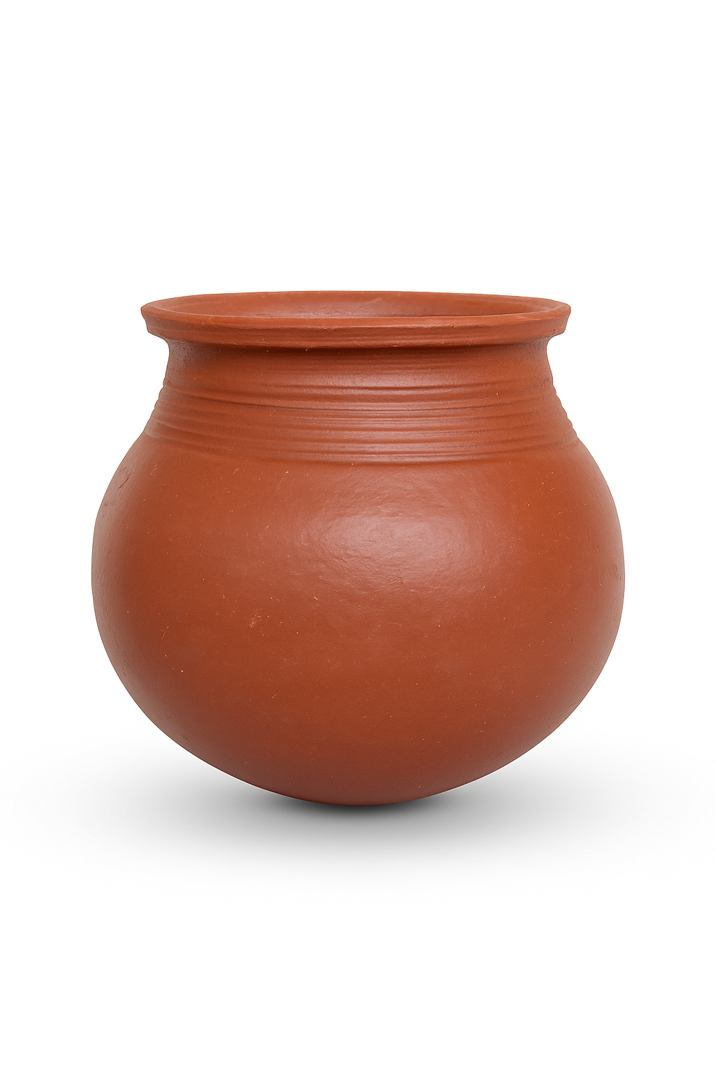 Premium rice cooking pot (best choice for diabetes)